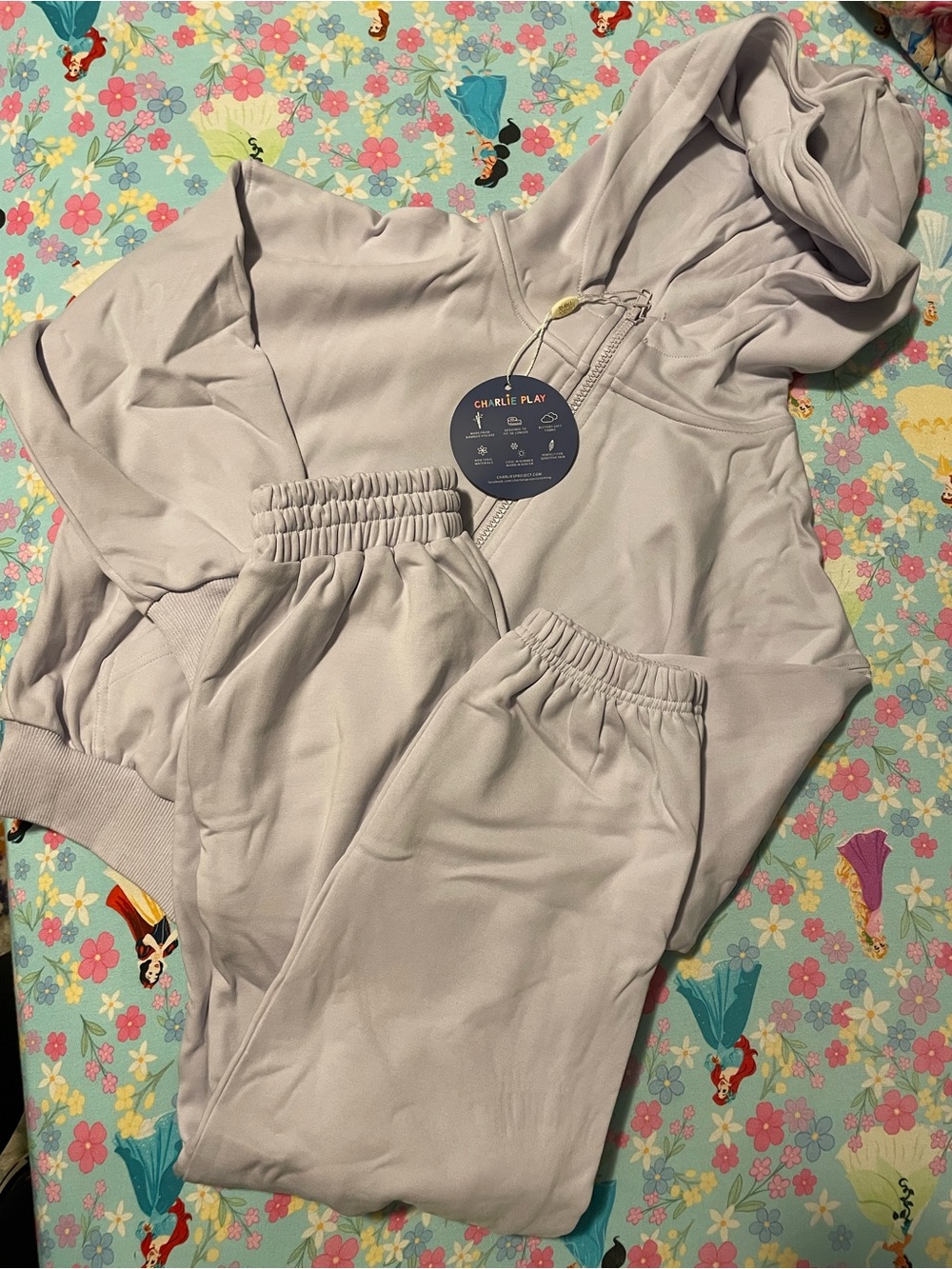 Charlie’s Project Play Sweatpants and Hoodie